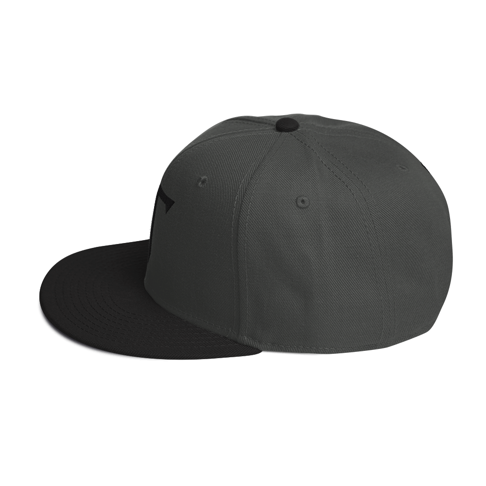 Embroidered HT Snapback Hat