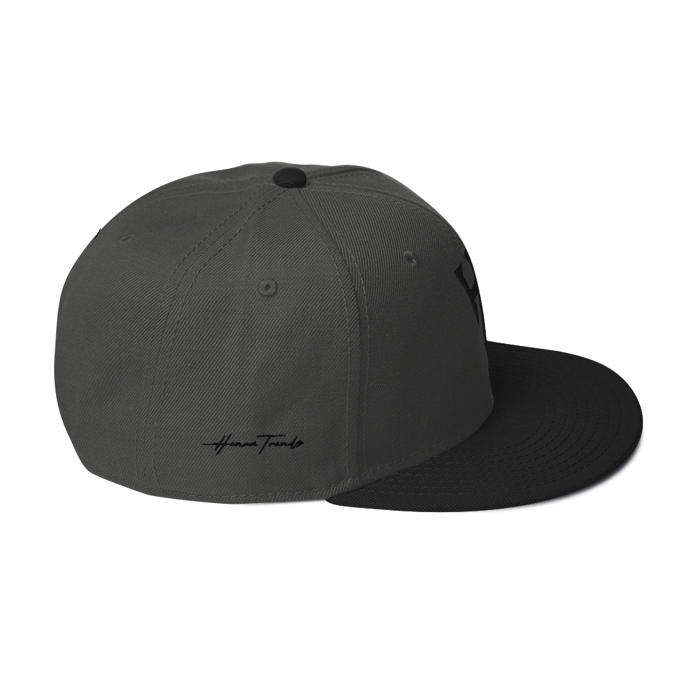 Embroidered HT Snapback Hat