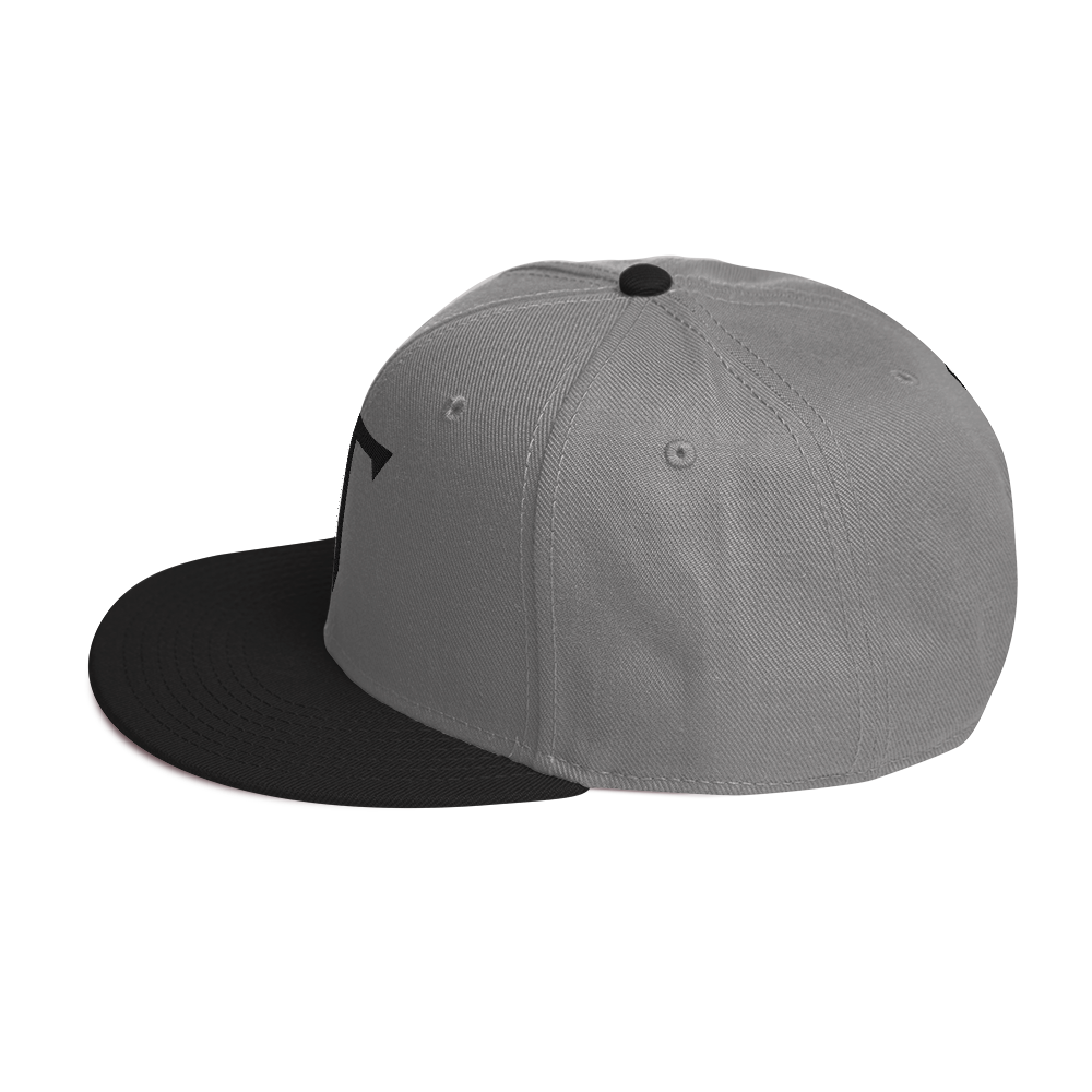 Embroidered HT Snapback Hat