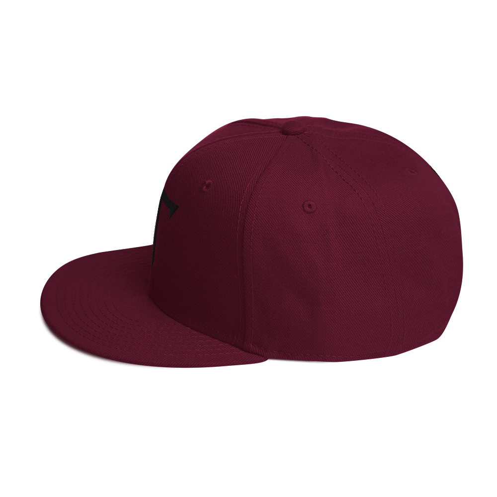 Embroidered HT Snapback Hat