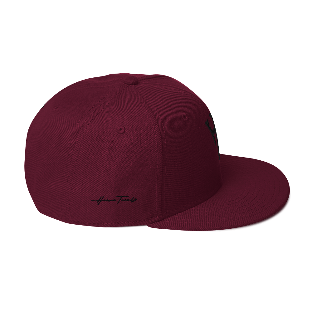 Embroidered HT Snapback Hat