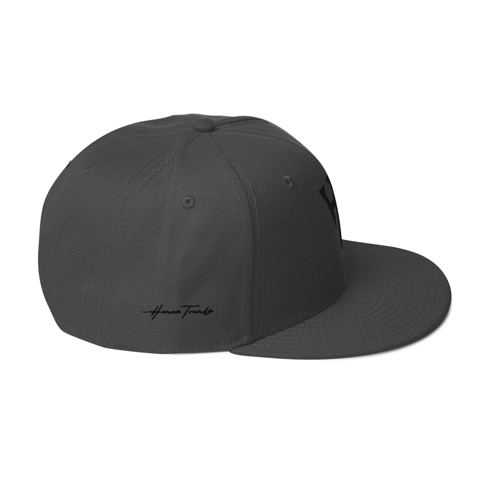 Embroidered HT Snapback Hat