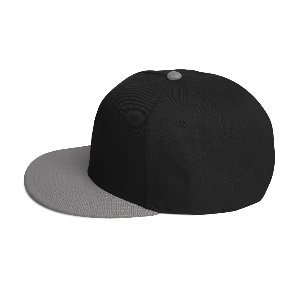 Embroidered HT Snapback Hat