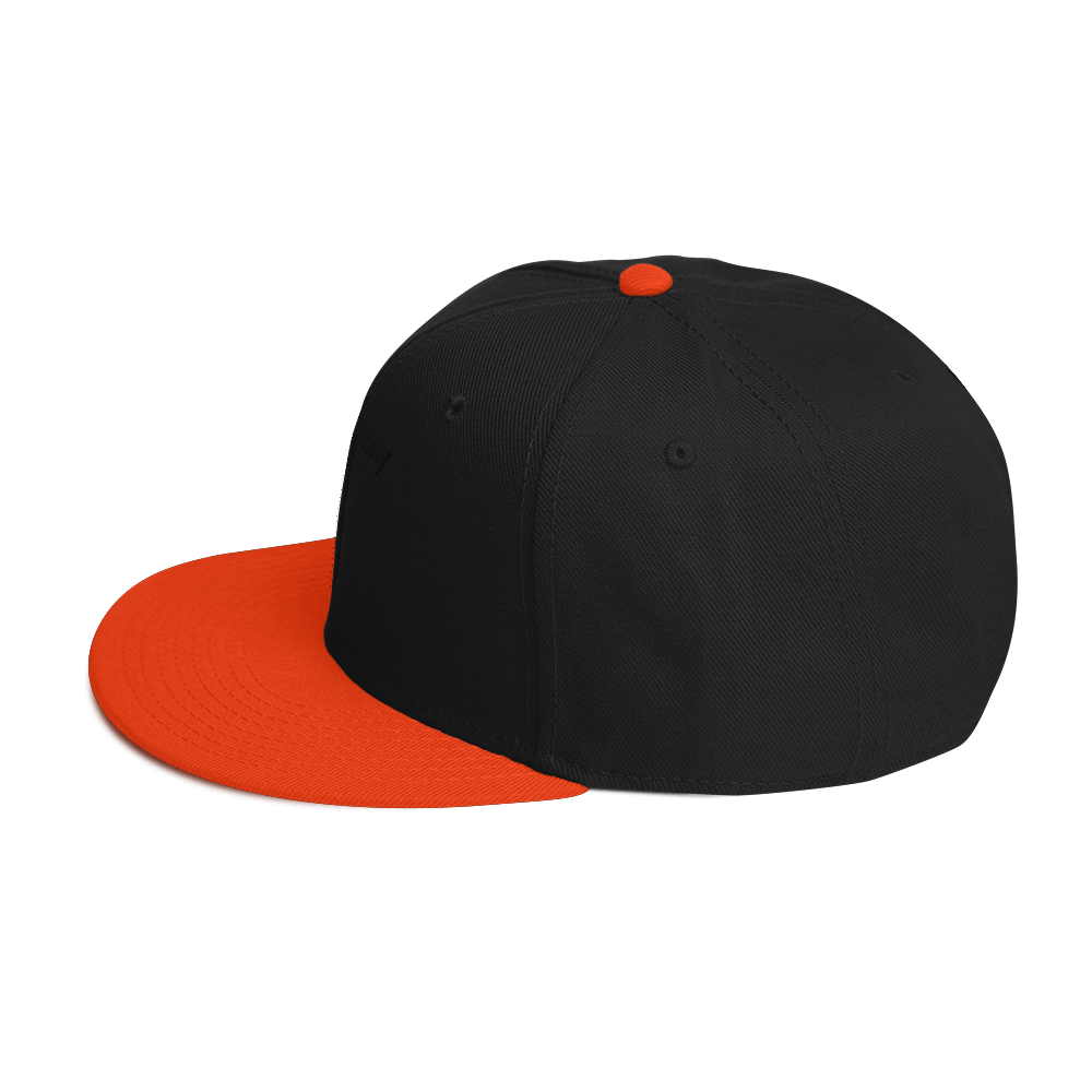 Embroidered HT Snapback Hat