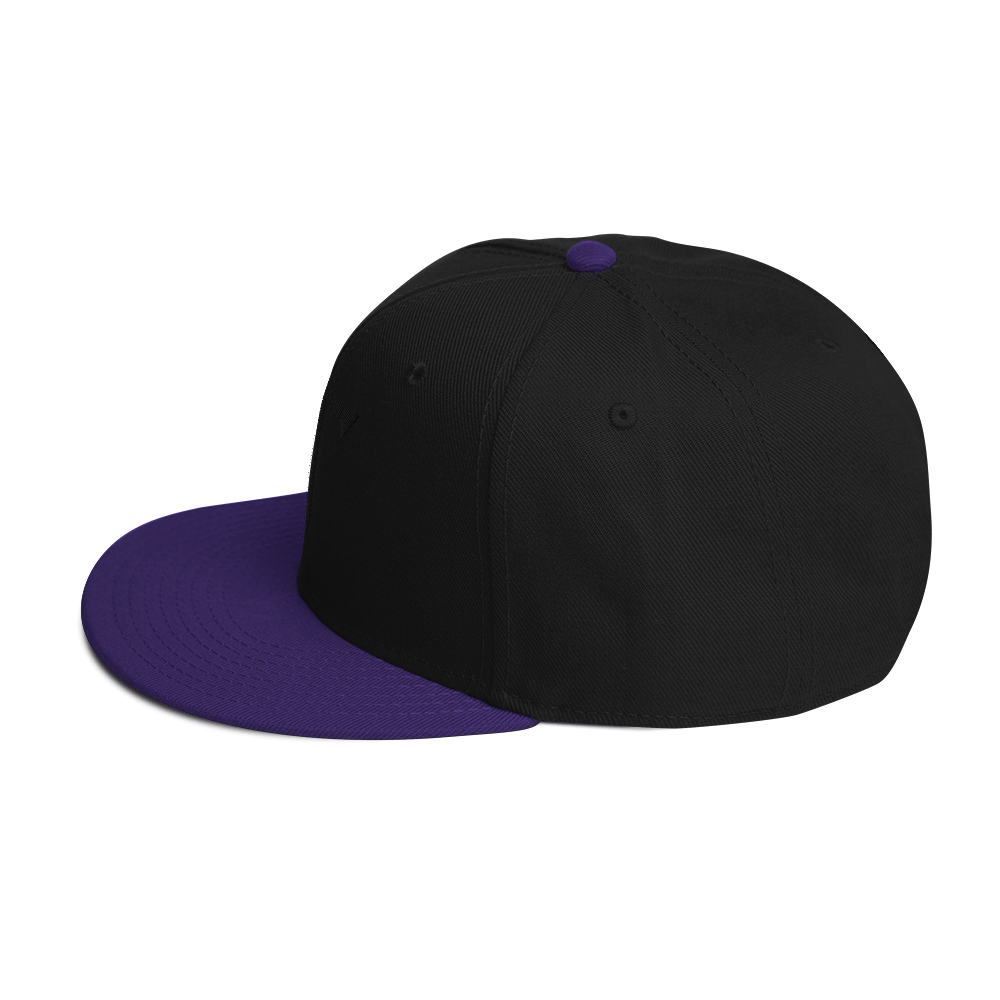 Embroidered HT Snapback Hat