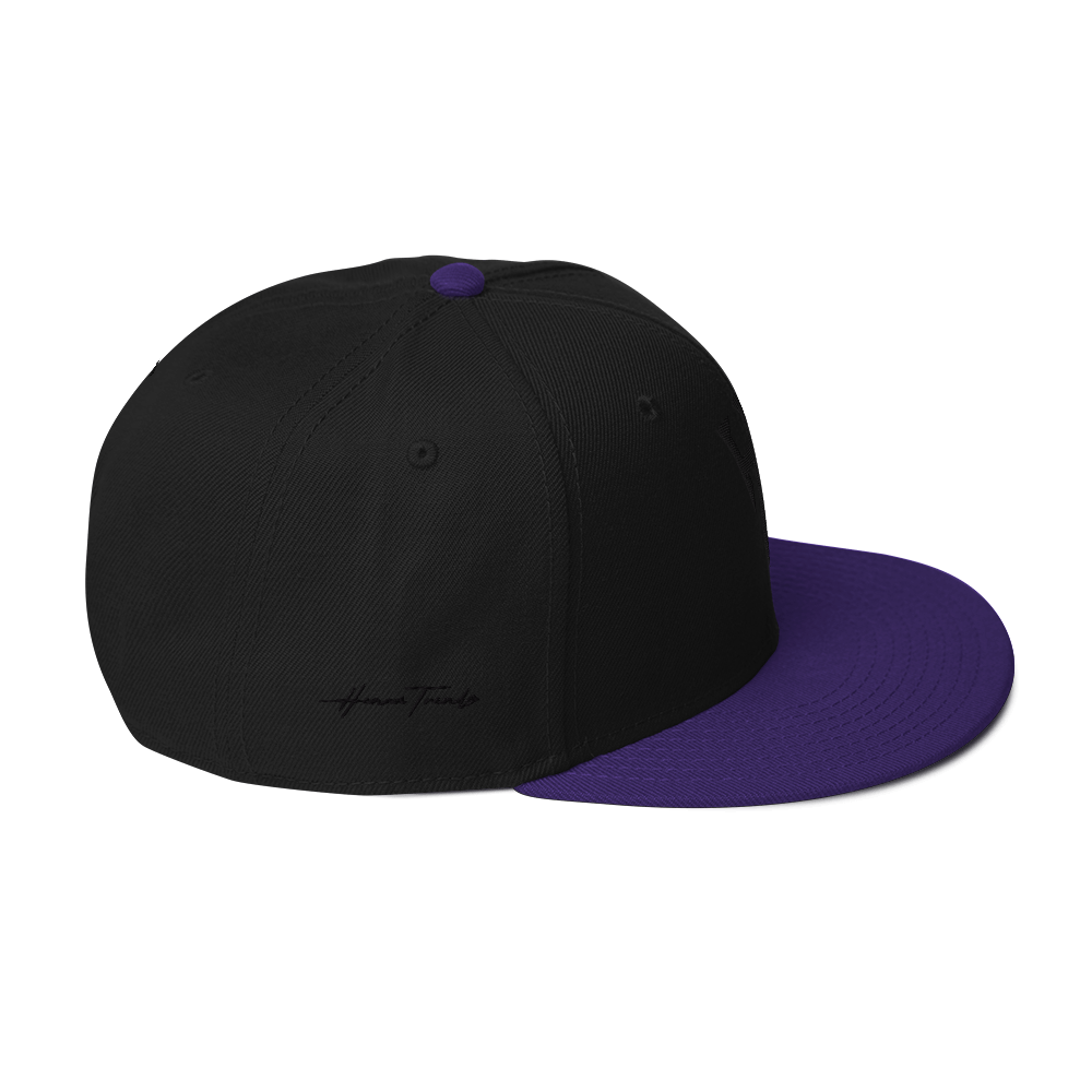 Embroidered HT Snapback Hat