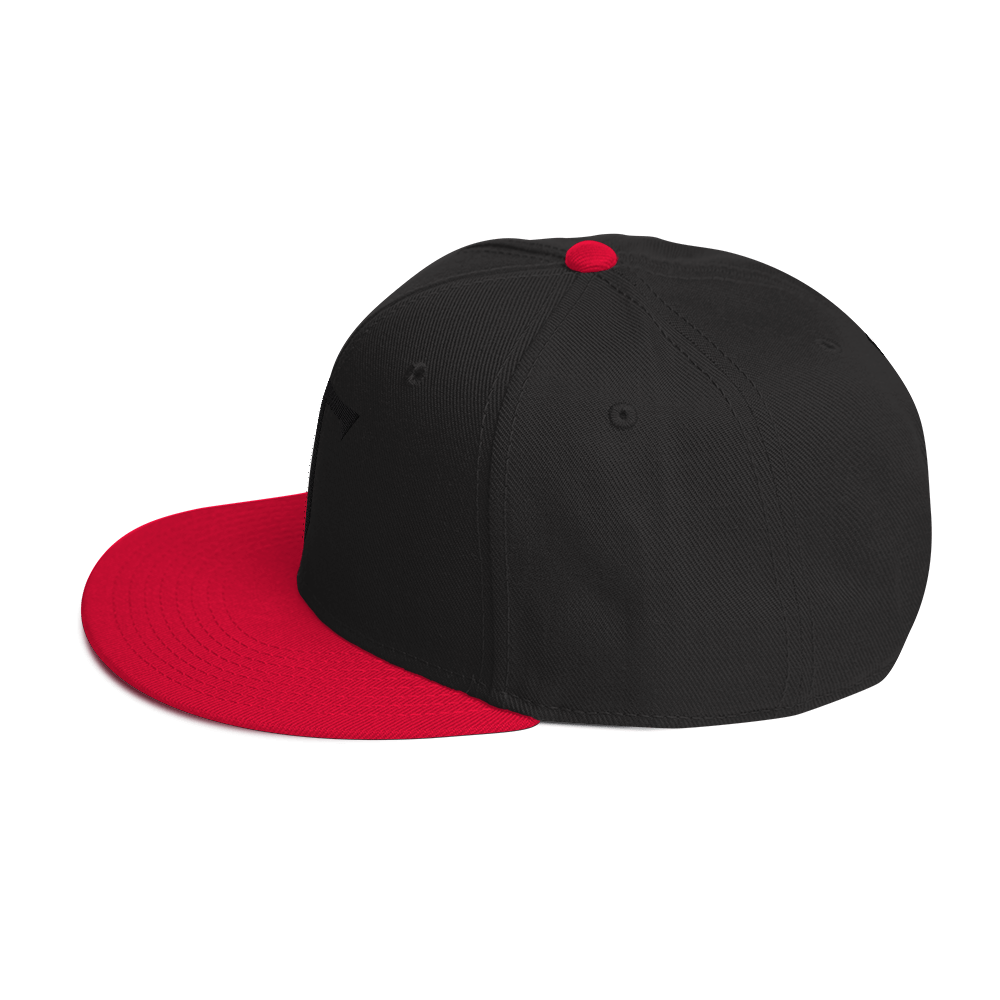 Embroidered HT Snapback Hat